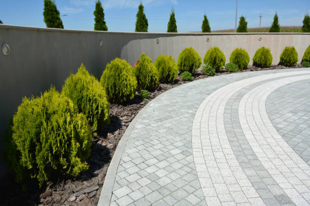 Best Custom Driveway Pavers  in Clinton, SC